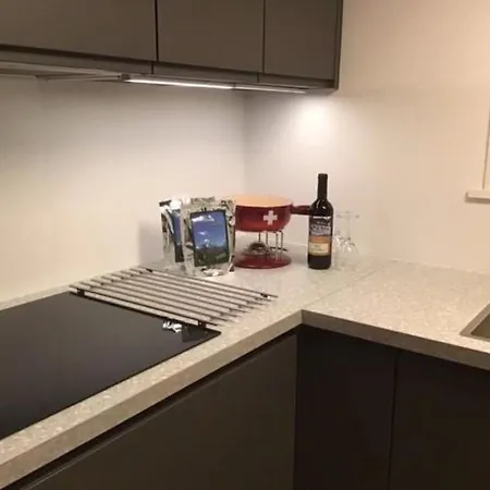 Moeoesli By Interhome Apartament Lenk