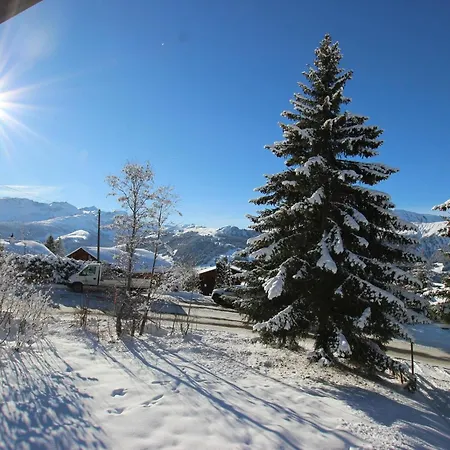 Appartement Moeoesli By Interhome *