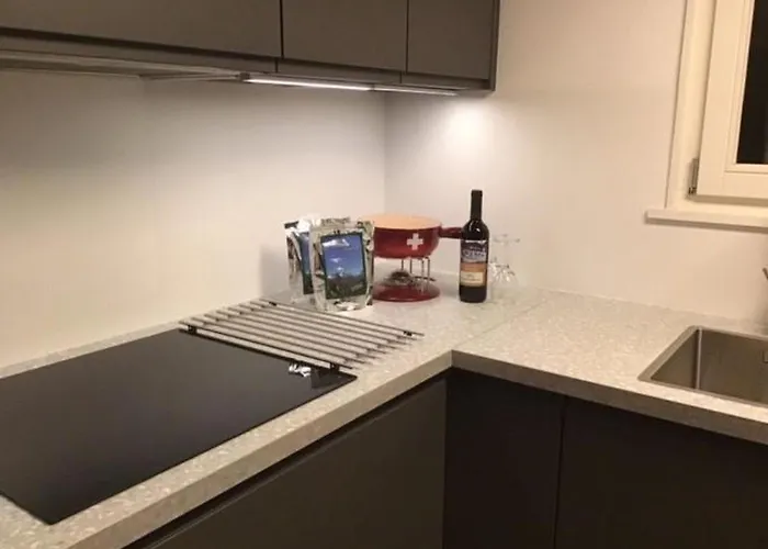 Moeoesli By Interhome Apartament Lenk