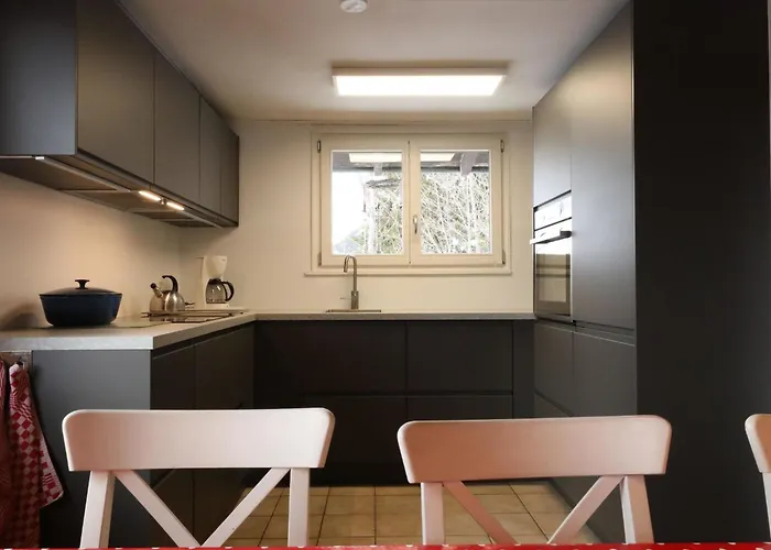 Apartament Moeoesli By Interhome Lenk